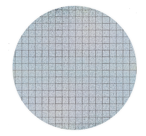 3D WHITE SPIDER CUTTING/POLISHING PAD - 7.5"